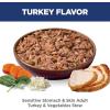 Hill’s Science Diet Sensitive Stomach & Skin, Adult 1-6, Stomach & Skin Sensitivity Support, Wet Dog Food, Turkey & Vegetables Stew, 2.8 oz Pouch, Case of 24(Turkey & Vegetables Stew)