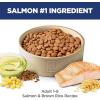 Hill’s Science Diet Adult 1-6, Adult 1-6 Premium Nutrition, Dry Dog Food, Salmon & Brown Rice, 14 lb Bag(Salmon & Brown Rice)