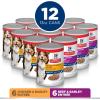 Hill’s Science Diet Adult 7+, Senior Adult 7+ Premium Nutrition, Wet Dog Food, Variety Pack: Chicken & Barley; Beef & Barley Loaf, 13 oz Can Variety Pack, Case of 12(Variety Pack: Chicken & Barley; Beef & Barley Loaf)