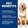 Hill’s Science Diet Perfect Weight, Adult 1-6, Weight Management Support, Dry Dog Food, Chicken & Brown Rice, 4 lb. Bag(4 Pound (Pack of 1))