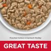 Hill’s Science Diet Healthy Cuisine, Adult 1-6, Great Taste, Wet Cat Food, Roasted chicken & Rice Stew, 2.8 oz Can, Case of 24(Poached Salmon & Spinach Stew)