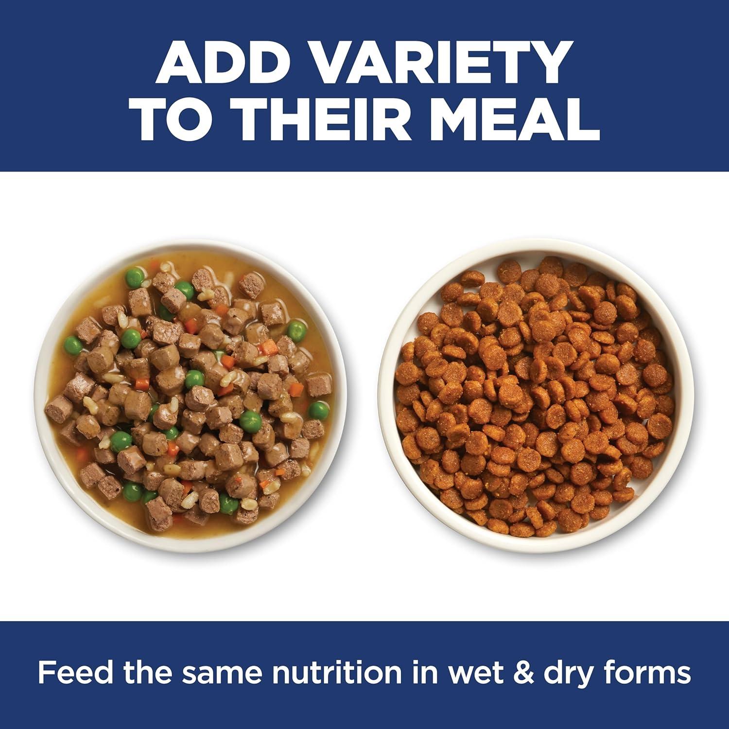 imageHills Science Diet Sensitive Stomach amp Skin Kitten Stomach amp Skin Sensitivity Support Dry Cat Food Salmon amp Brown Rice 6 lb BagSalmon Brown Rice