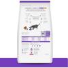 Hill’s Prescription Diet Brain Care + j/d Joint Care Feline Dry Cat Food with Salmon, 4 lb Bag