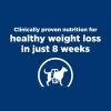Hill’s Prescription Diet r/d Weight Reduction Wet Dog Food, Veterinary Diet, 12.3 oz. Cans, 12-Pack