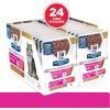 Hill’s Prescription Diet Gastrointestinal Biome + Stress Chicken & Carrot Stew Wet Cat Food, 24 x 2.8 oz Pouches