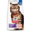 Hill’s Science Diet Adult 1-6 Sensitive Stomach & Skin Dry Cat Food, Salmon Recipe, 3.5 lb. Bag(Salmon)